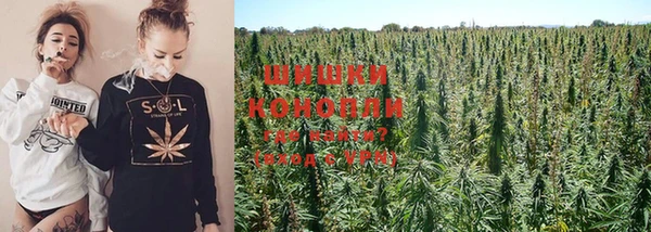 амф Михайловка